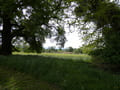 Blick vom Schlosspark in den Nationalpark