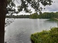 Wurlsee