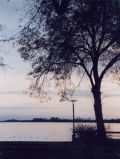 Abendstimmung am Unteruckersee