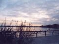 Abend am Unteruckersee