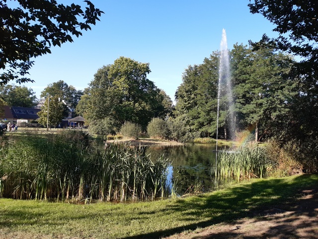 Teich am Robinienweg