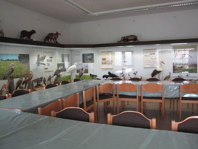 Ausstellung in der Vogelschutzwarte