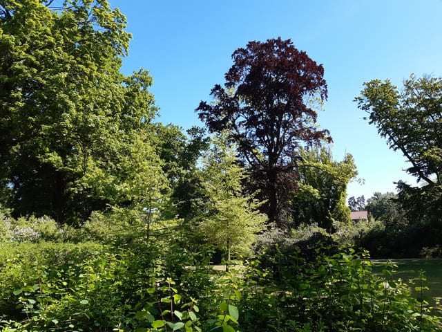 Hohenzollernpark
