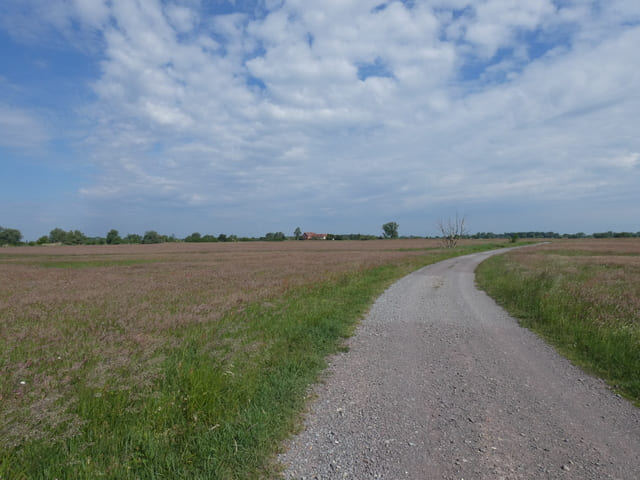 Blick auf die Ökologische Station Gülpe