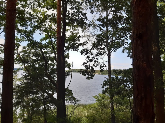 Hölzerner See