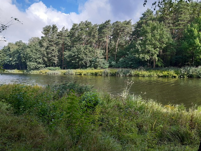 Oder-Spree-Kanal