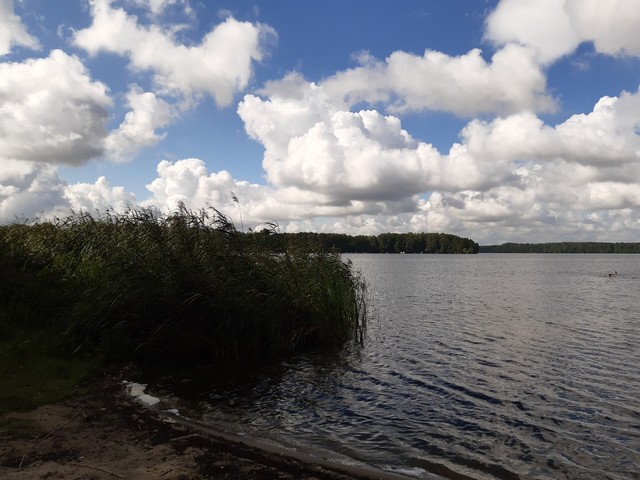 Blick vom Schmöckwitzer Werder auf den Krossinsee