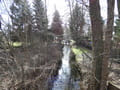 Fanggraben an der Schleuse Körbiskrug