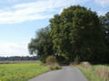 Landschaft am Dahme-Mühlen-Weg