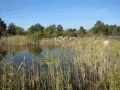 Naturparkzentrum Wanninchen, Weiher