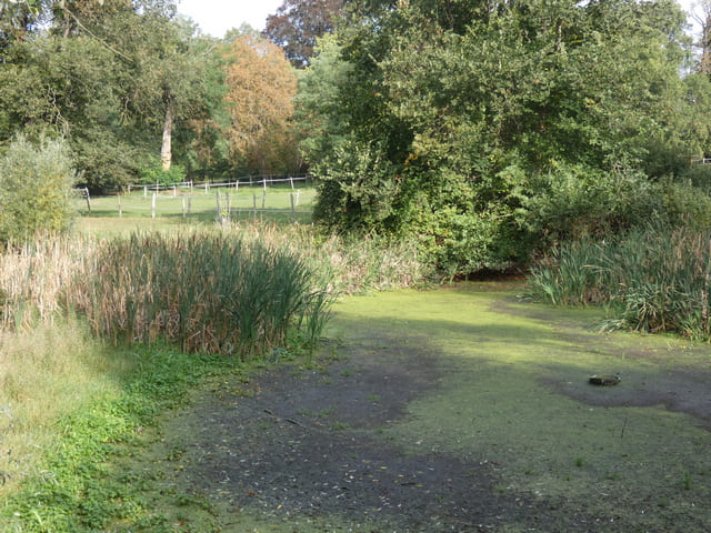 Schlosspark