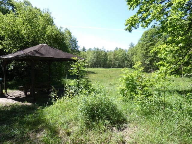 Am Leistikow-Weg
