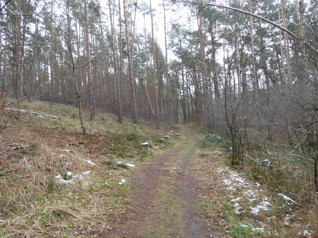 Löcknitztalweg zwischen Fangschleuse und Klein Wall