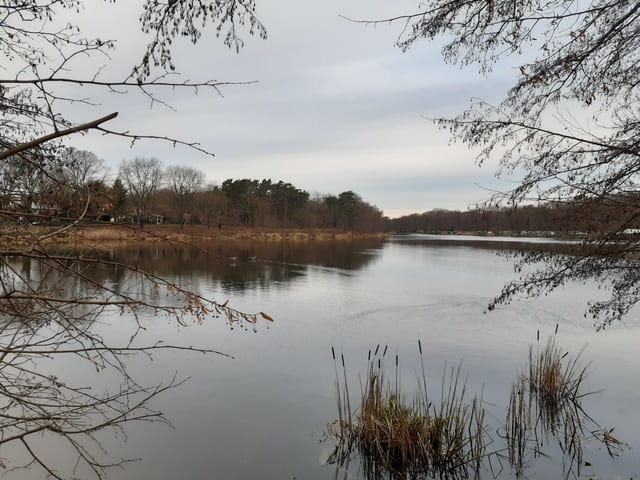 Fürstenwalder Spree