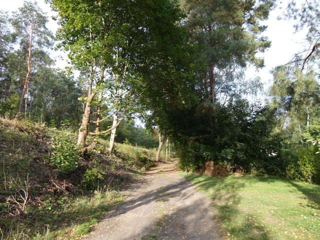 Landschaft bei Hubertushöhe