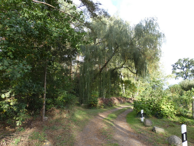 Landschaft bei Hubertushöhe