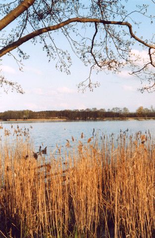 Seenlandschaft bei Kagel