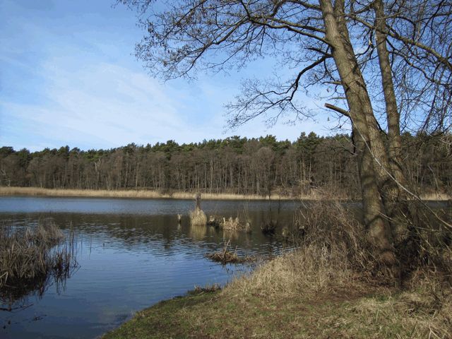 Kersdorfer See