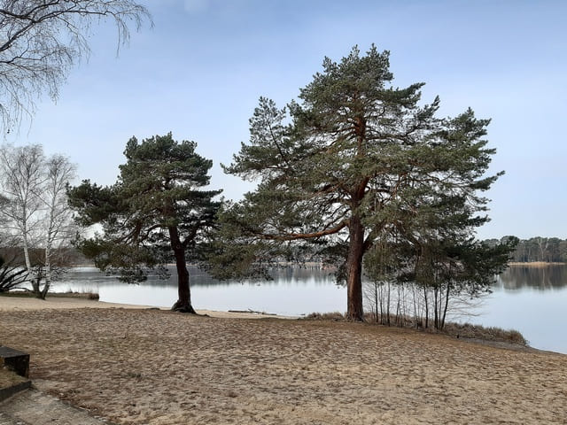 Großer Müllroser See