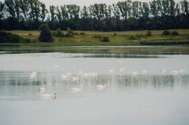 Teichlandschaft bei Zeust