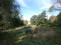 Schlosspark mit Blick zum Schlossgut