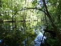 Löcknitz Nähe Froschbrücke