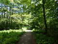 Albert-Kiekebusch-Weg
