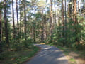 Springseeweg