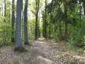 Kirchsteig