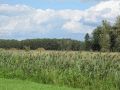 Landschaft bei Neu Boston