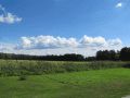 Landschaft bei Neu Boston