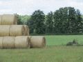 Landschaft bei Rieplos