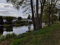 Friedrich-Wilhelm-Kanal bei Schlaubehammer