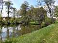 Schleuse Weißenspring