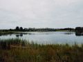 Teichlandschaft am Abend