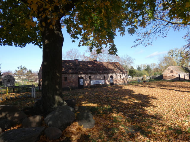 Oderbruchmuseum - alte Scheune im Ortskern