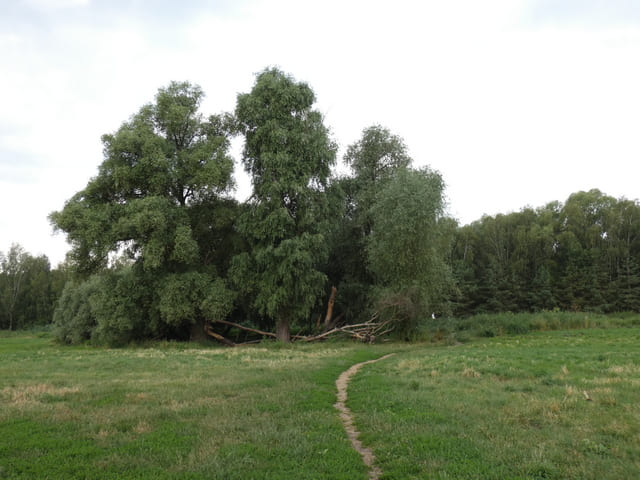 Erpetal zwischen Ravenstein und Dahlwitz