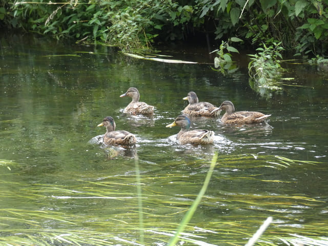 Familienausflug