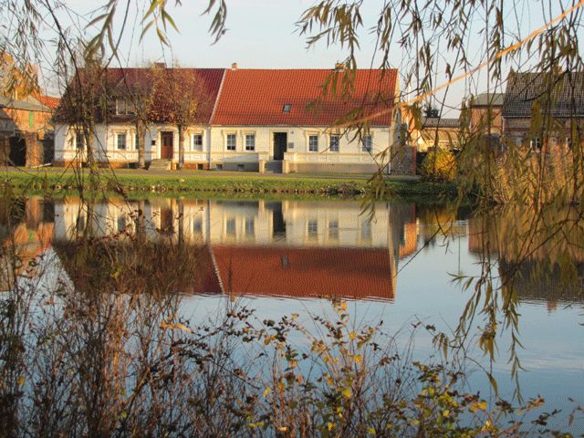 Spiegelungen am Weiher