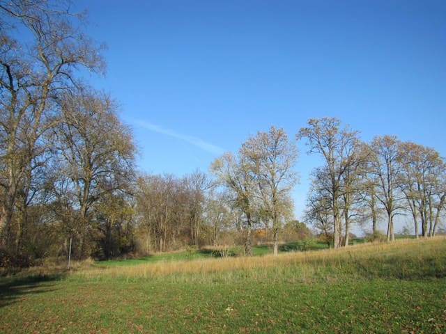 Landschaft bei Garzin