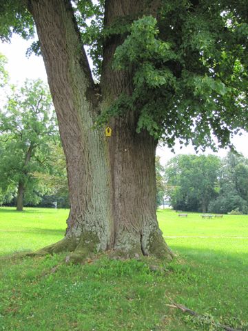 Schlosspark