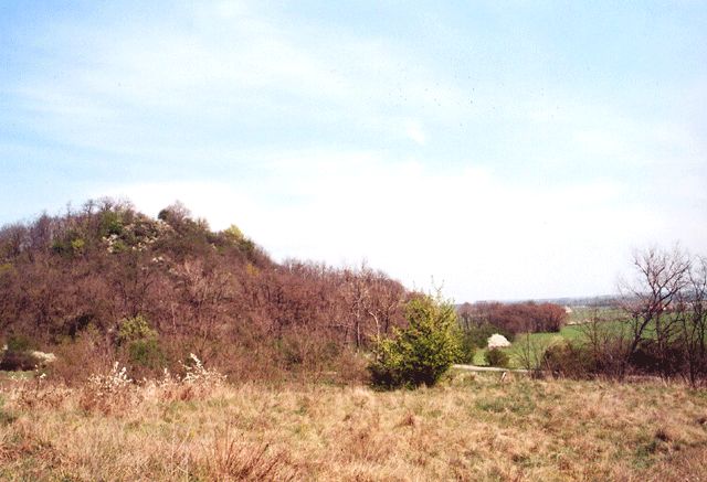 OT Klessin Am Zeisigberg