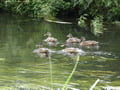 Familienausflug