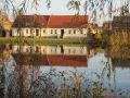 Spiegelungen am Weiher