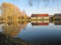 Spiegelungen am Weiher