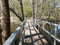 Holzbrücke zwischen Papillensee und Großem Däbersee