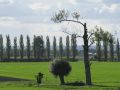 Landschaft bei Zollbrücke