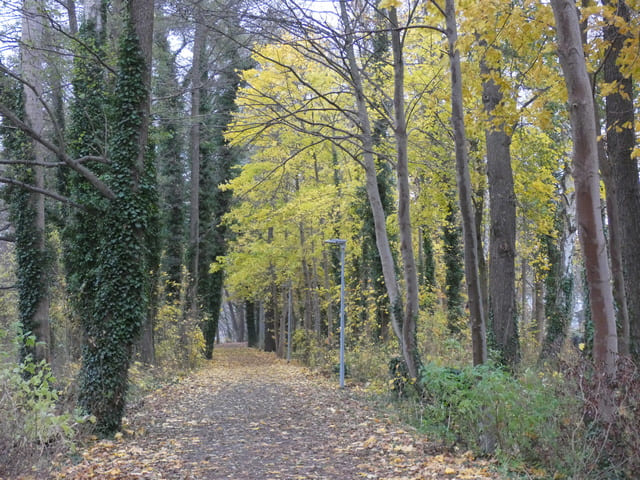 Seepromenade