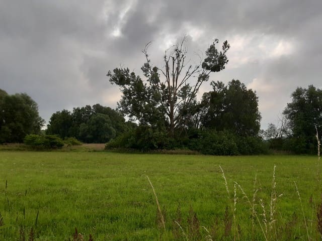 Landschaft in den Mildenberger Tonstichen