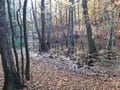 Briesetal